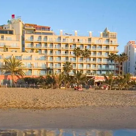 Bull Reina Isabel & 4*