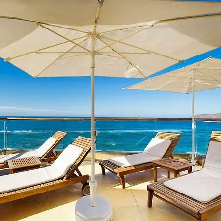 Bull Reina Isabel & Las Palmas de Gran Canaria