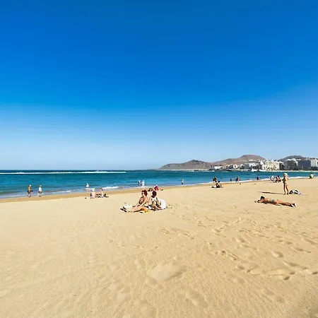 Bull Reina Isabel & Las Palmas de Gran Canaria