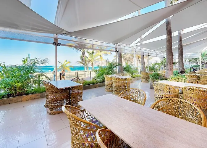 Bull Reina Isabel&spa